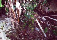 Aguas Medicinales de Chocan
