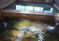 Aguas Termales de Chaquella de Ccoñec Aguas Termales de Chaquella de Ccoñec