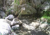 Aguas Termales de la Oroya – Anguia