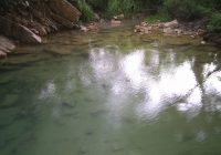 Aguas Termales de Tabacal Aguas Termales de Tabacal