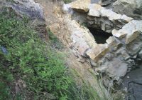 Aguas Termales el Carrizillo
