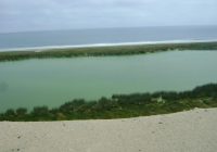 Albúfera Paraíso