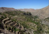 Andenería Agrícola de Yura Viejo Andenería Agrícola de Yura Viejo
