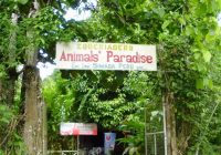 Animal Paradise el Serpentario