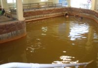 Baños Termo Medicinales de Tingo