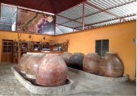 Bodega Majes Tradicion