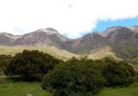 Bosque de Chanchauro