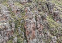 Bosque de Piedra de Qilca