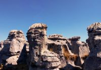 Bosque de Piedra Santa Magdalena