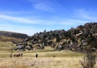 Bosque de Piedras de Huaraca Bosque de Piedras de Huaraca