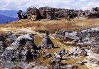 Bosque de Piedras Huahuan Apay
