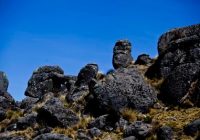 Bosque de Piedras Sachapite