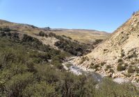 Bosque de Rontoccocha – Moroccocha