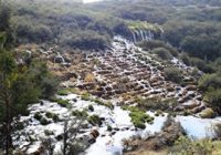 Bosque del Amor en Vilca