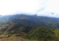 Bosque Nublado de Choquecocha Bosque Nublado de Choquecocha