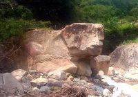 Bosque Piedra del Toro