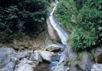 Caida de Agua Velo de la Novia