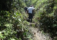 Camino Pintoresco Llaspay Camino Pintoresco Llaspay