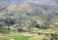 Campiña de Chuquibamba