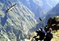 Cañon del Colca Cañon del Colca
