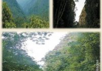 Cañón el Arenal