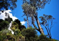 Catarata de Llaka Cana