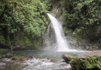 Catarata Gallito de las Rocas Catarata Gallito de las Rocas