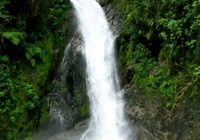 Catarata Gallito de las Rocas