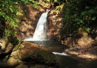 Catarata Gallito de las Rocas Catarata Gallito de las Rocas