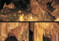 Cavernas de Nueva Esperanza
