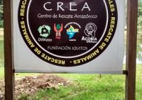 Centro de Rescate Amazónico Centro de Rescate Amazónico