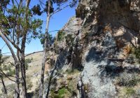 Cerro Hualon