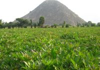 Cerro Pan de Azúcar