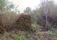 Complejo Arqueologico de Shuntur