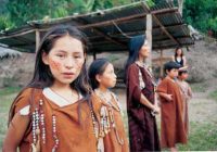 Comunidad Nativa Yánesha de Tsachopén Comunidad Nativa Yánesha de Tsachopén