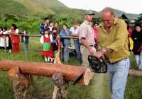 Destreza Forestal Destreza Forestal
