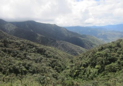 El Área de Conservación Privada “Bosques Montanos y Páramos de Huaricancha”