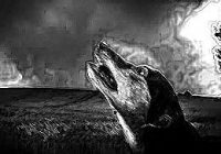 El Artificio con las Lagañas de Perro El Artificio con las Lagañas de Perro