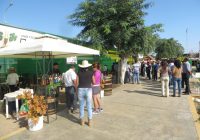 Expo – Feria Luriama