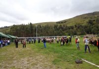 Feria Agropecuaria de Masma Chicche