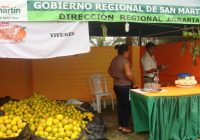 Festival de la Naranja Festival de la Naranja