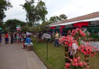 Festival de la Orquídea