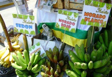 Festival del Plátano de Isla Maleño
