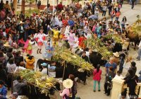 Fiesta de San Isidro Labrador de Ichocán