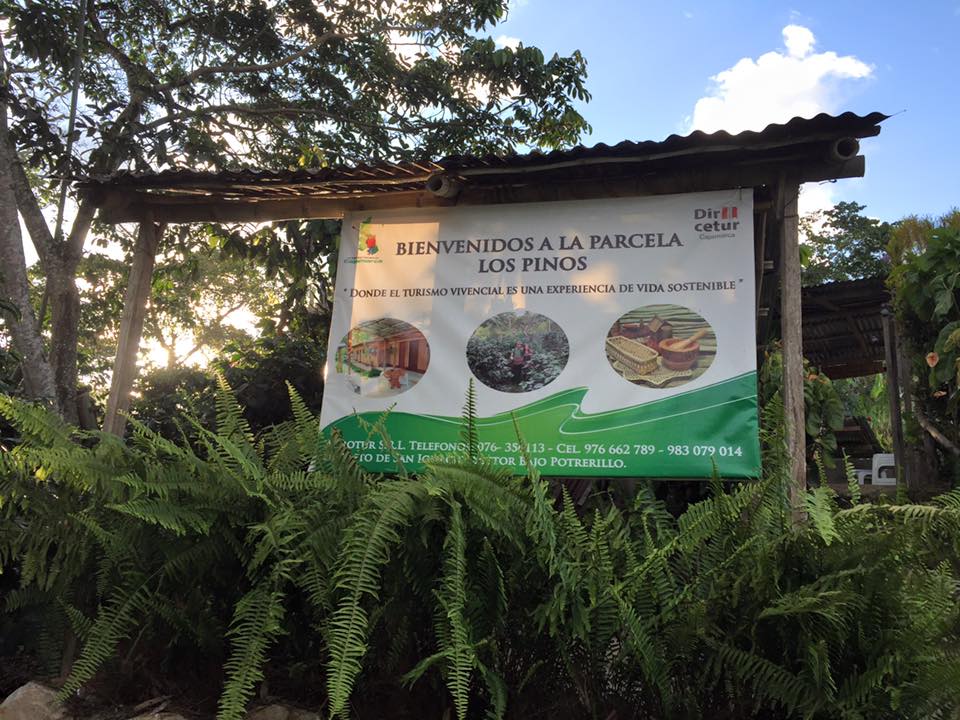 Finca Parcela los Pinos