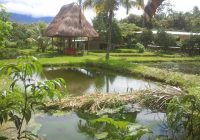 Fundo Choco Finca
