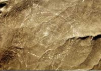 Geoglifos de Sacramento