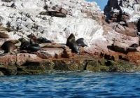 Islas Ballestas Islas Ballestas