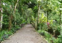 Jardín Botánico Jardín Botánico