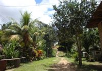 La Comunidad Nativa de Ticumpinia – Chocoriari
